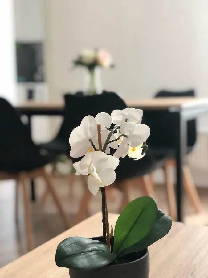 „Darchi“ Apartment Tbilisi